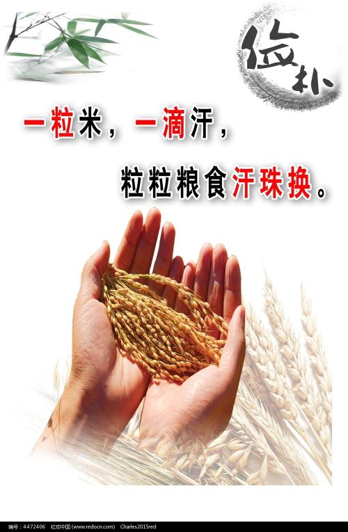 定期存单样本照片